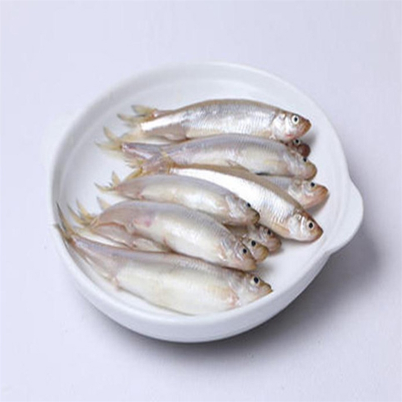 池沼公鱼