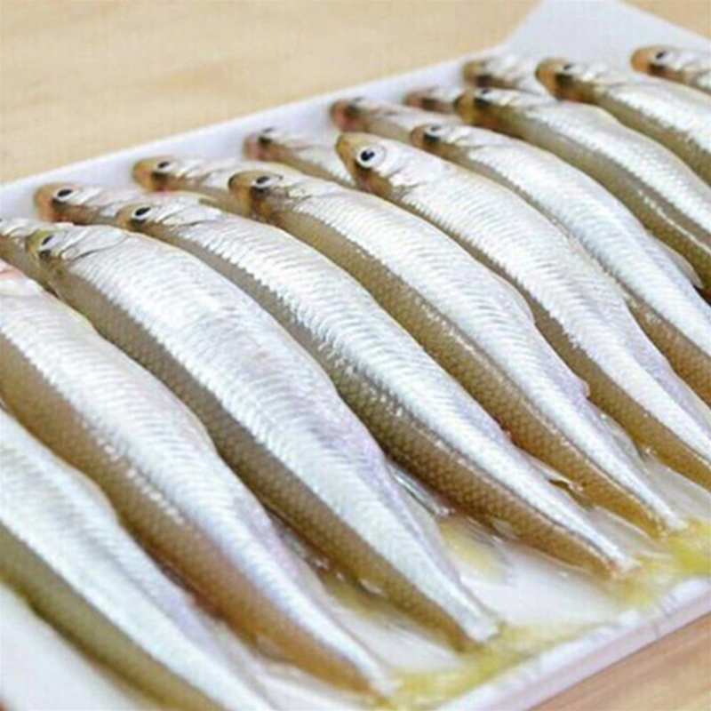 池沼公鱼