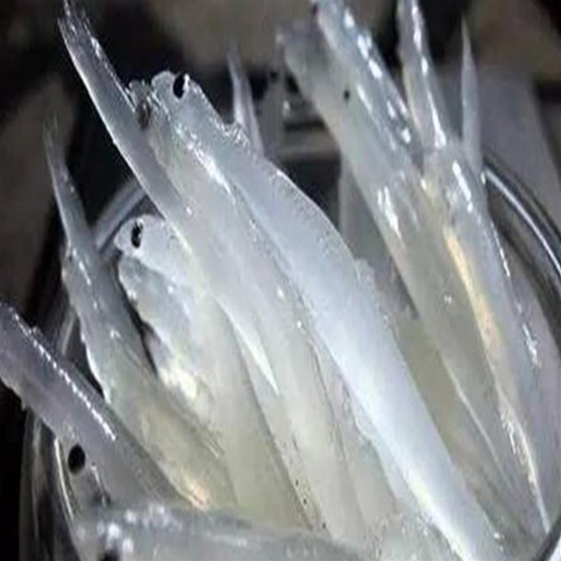 银鱼
